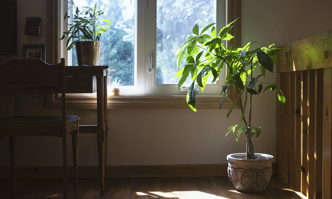 5 Creative Ways To Customize Your Workspace