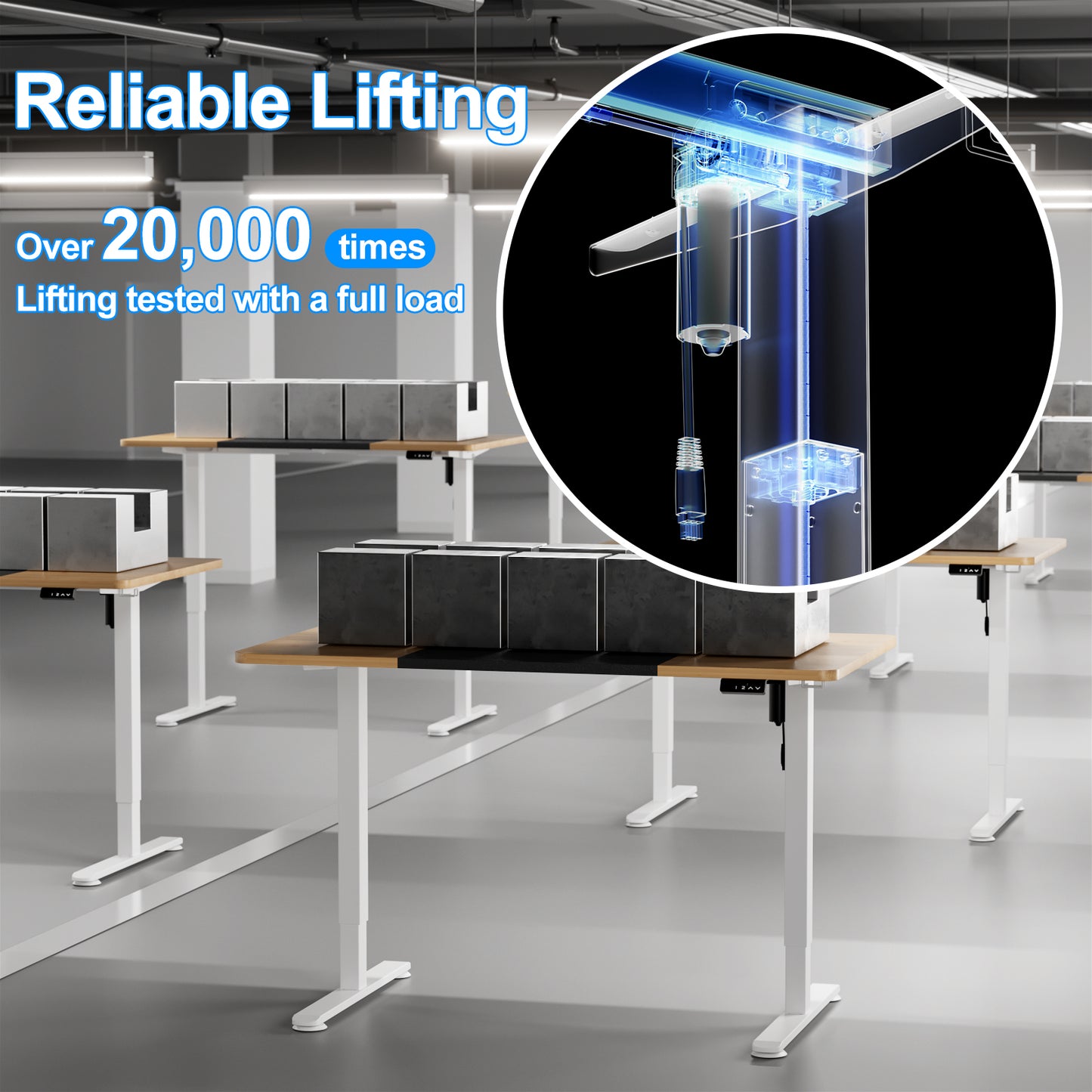 WOKA Electric Height Adjustable Electric Standing Desk, 55 x 28 Inch Sit Stand Desk with Memory Controllers, Stand up Desk for Home Office, Oak and Black Tabletop WD104-W51