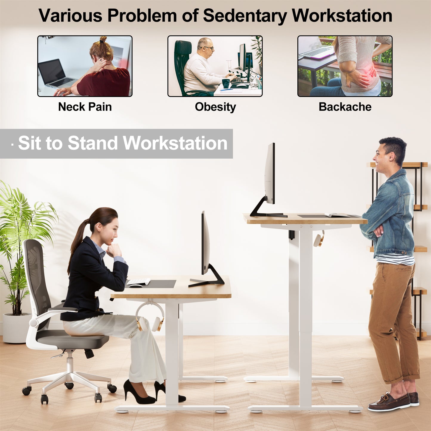 WOKA Electric Height Adjustable Electric Standing Desk, 55 x 28 Inch Sit Stand Desk with Memory Controllers, Stand up Desk for Home Office, Oak and Black Tabletop WD104-W51