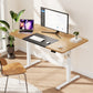 WOKA Electric Height Adjustable Electric Standing Desk, 55 x 28 Inch Sit Stand Desk with Memory Controllers, Stand up Desk for Home Office, Oak and Black Tabletop WD104-W51