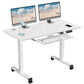 WOKA Electric Height Adjustable Standing Desk with Keyboard Tray
