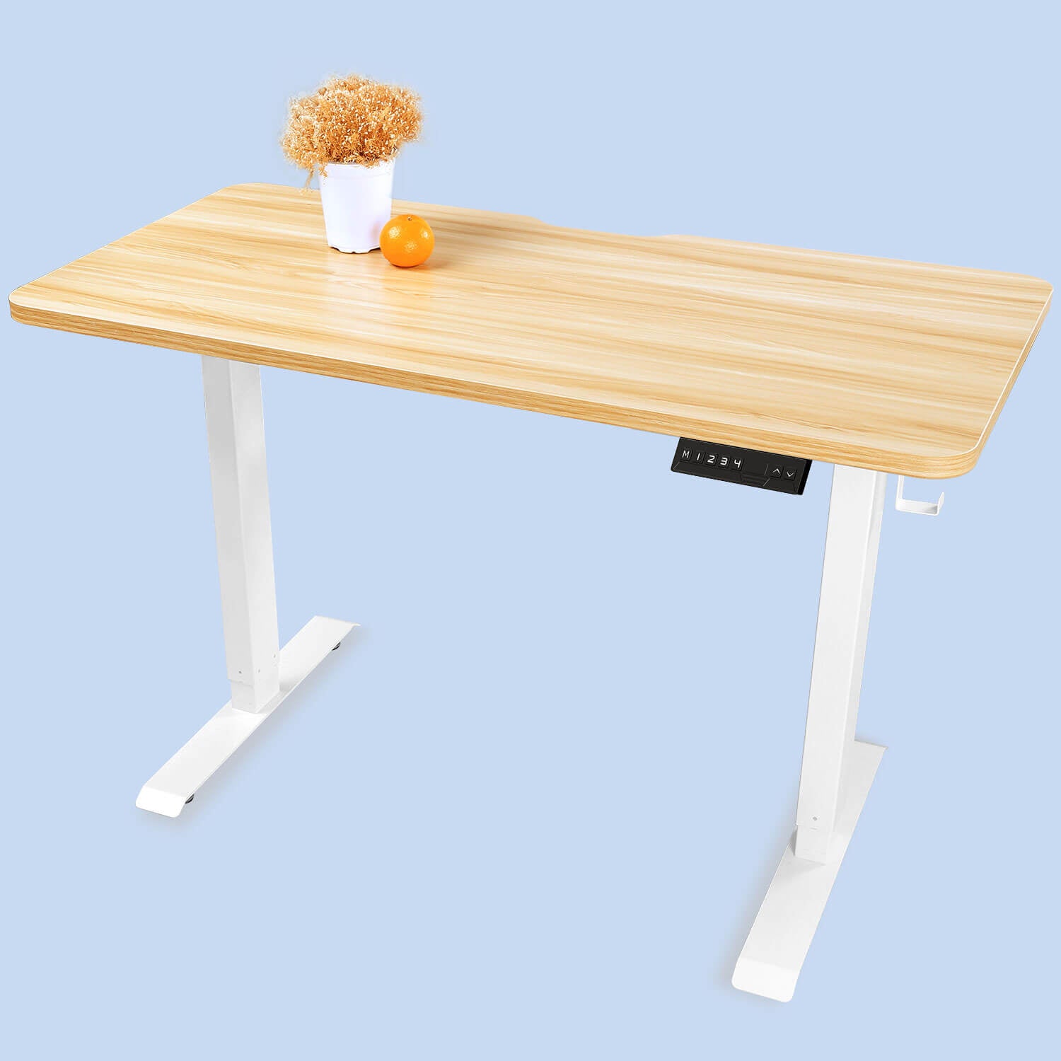 Oak Top WOKA 48"x24" Electric Height Adjustable Standing Desk with Dual Motors