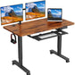 electric standing desk 48''×24‘’ / Rustic Brown
