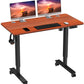 48'' Electric Sit Stand Desk