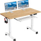 Electric Standing Desk for Home Office