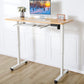 Electric Standing Desk for Home Office