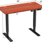 48'' Electric Sit Stand Desk