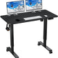 48'' Electric Sit Stand Desk